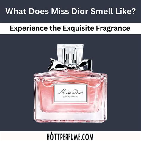 dior l'eau perfume|what does miss dior smell like.